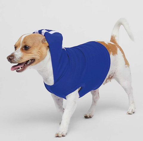 Doggie Hoodie